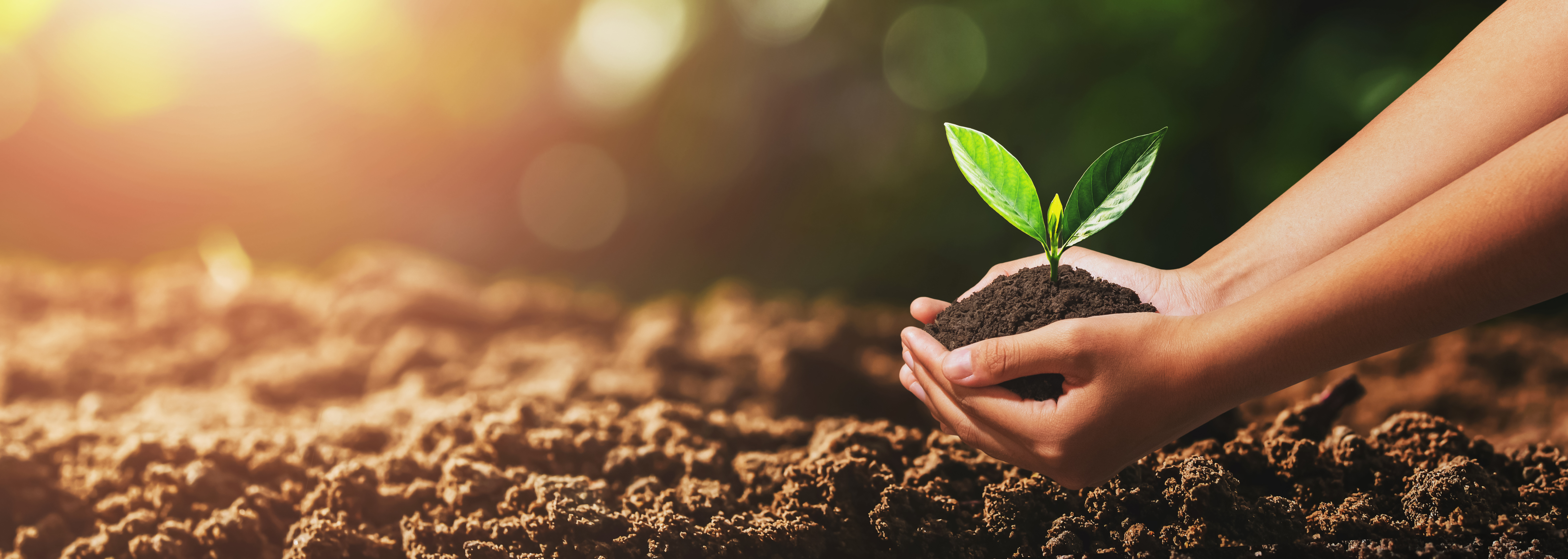 CSR Initiatives